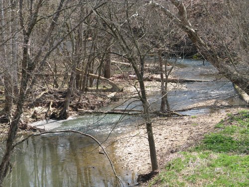 Property photo 28 - 137 Acres in 2 Tracts - 64 Tillable Acres, Potential Building Sites, Hunting